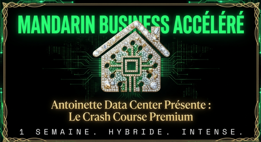 Cours Intensif Chinois des Affaires — Hybrid (Présentiel & Online) — Session 30 Juin
